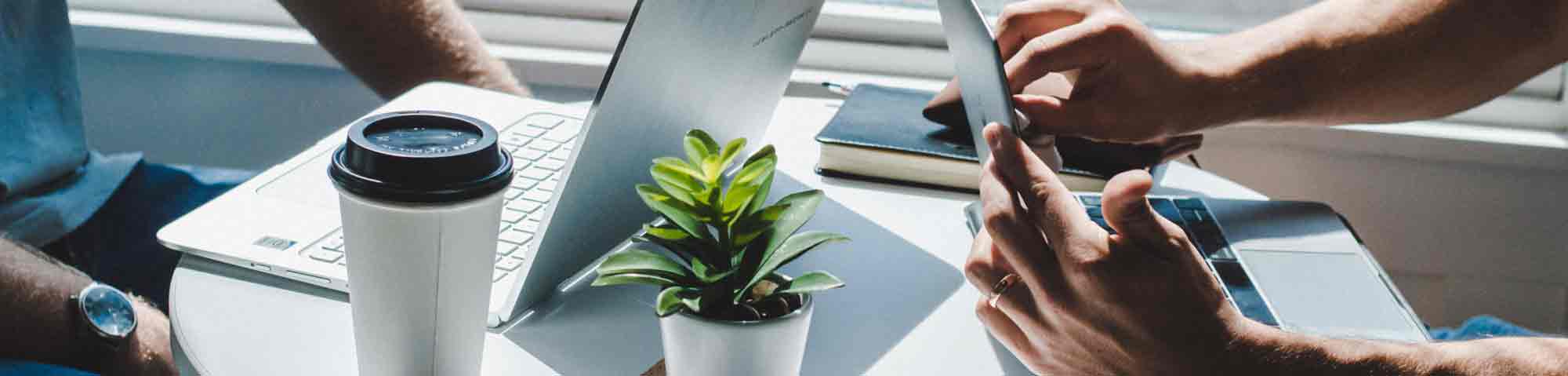 Why You Should Work at a Startup