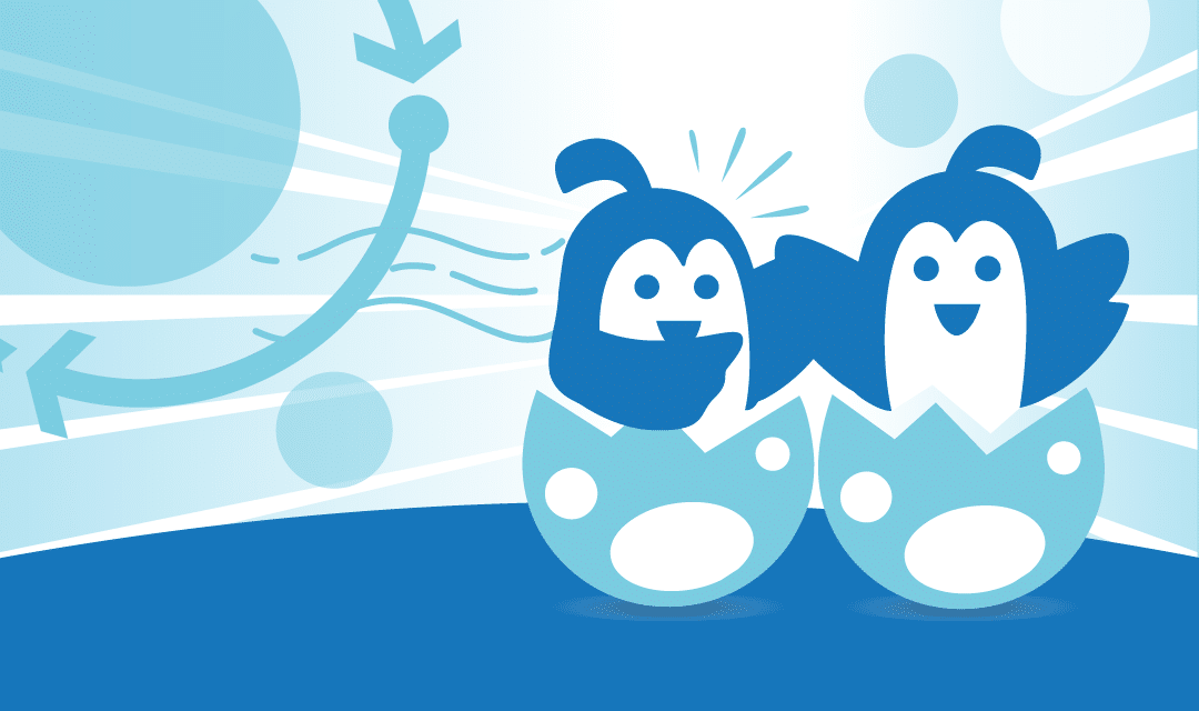 Tell people about Hatchwise and earn CASH – Our New Affiliate Program!