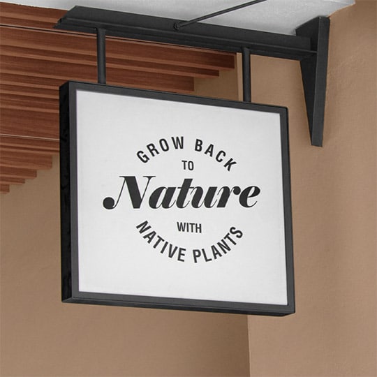 Packaging Design