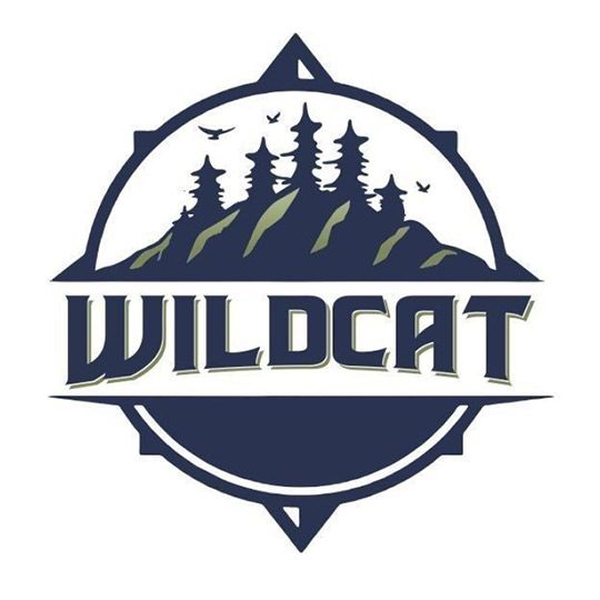 Logo design example created by a Hatchwise creative