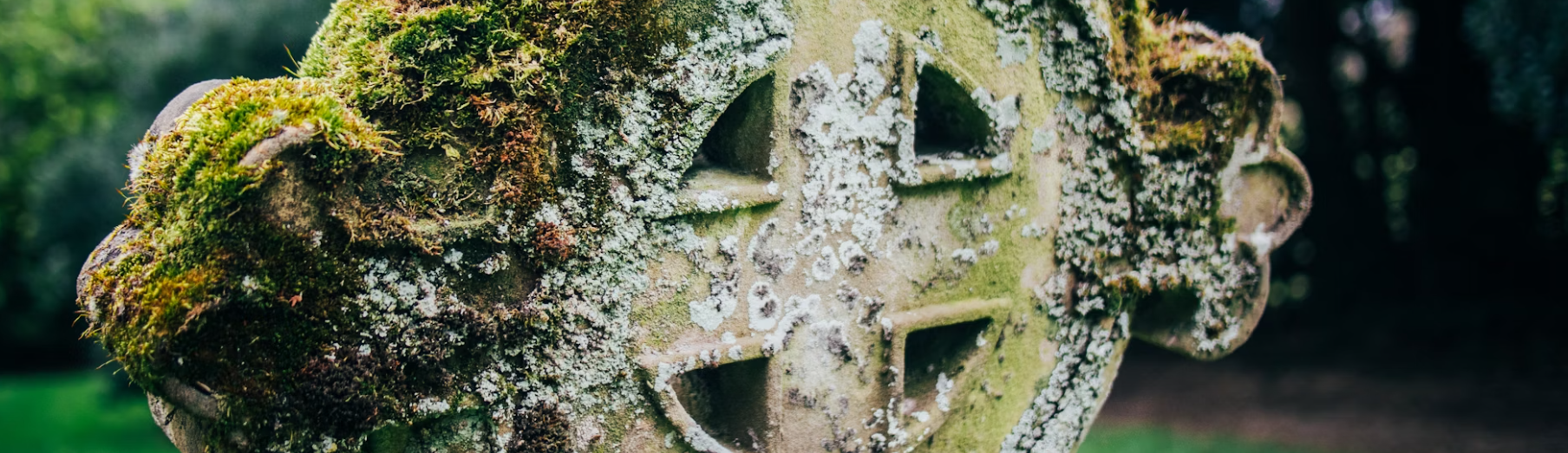 The Top 30+ Celtic Symbols And Their Meanings