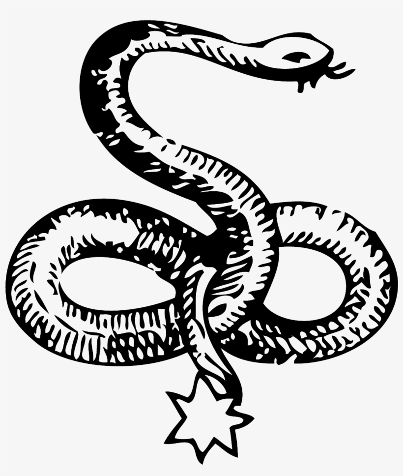 The Celtic snake