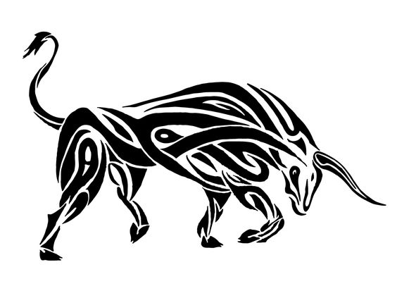 Black and white bull