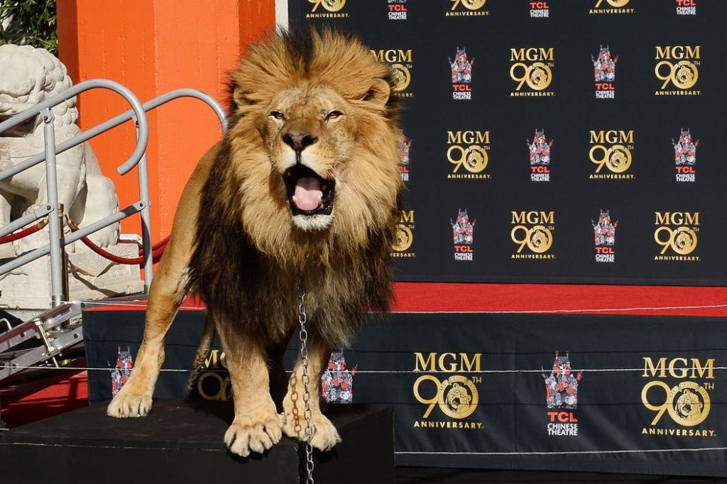 Leo the Liion from MGM Logo