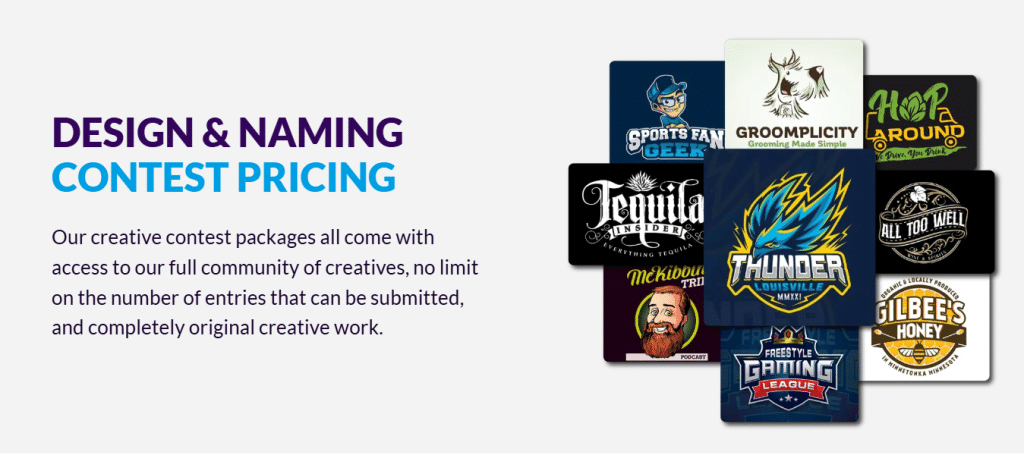 Hatchwise logo design contest pricing